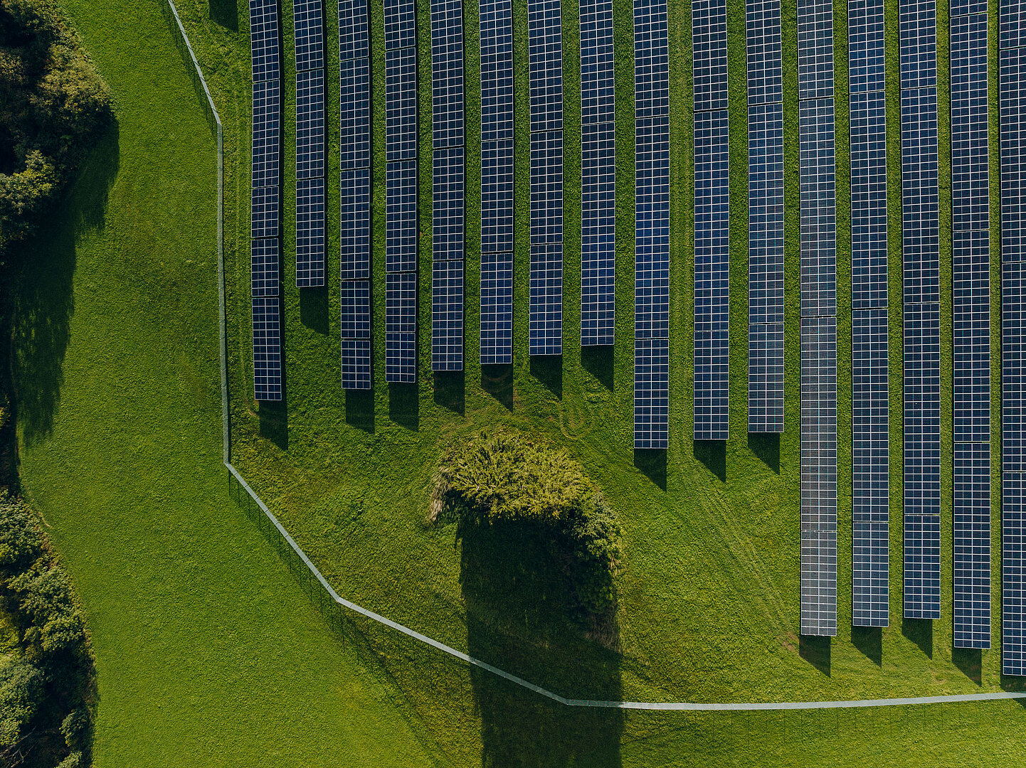Foto einer Photovoltaik-Anlage aus der Vogelperspektive 
